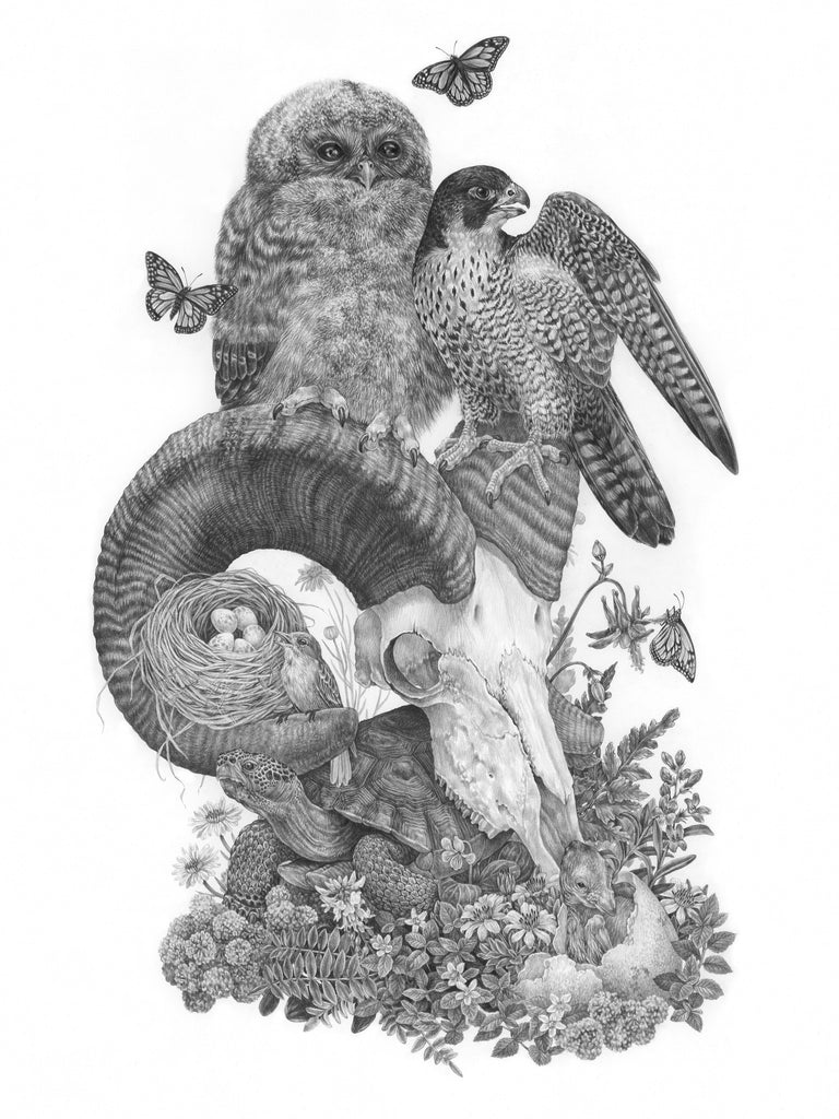 Zoe Keller - Species on the Brink