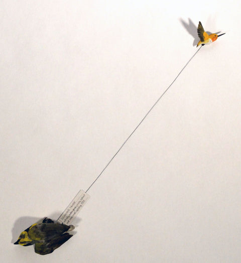 Sarah Conti - Rufous Hummingbird, Extinct Bachman’s Warbler