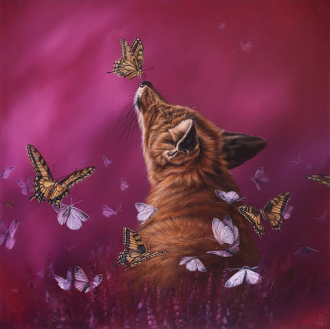 Dewi Plass - A day trip to the fields of curiosity and wonder