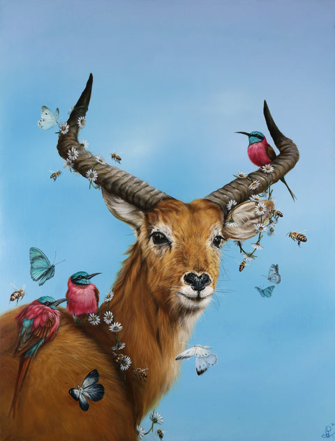Dewi Plass - Redefining Wealth (When nature nurtures)
