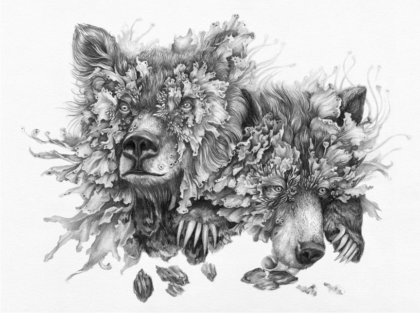 Christina Mrozik - Lichen Bears