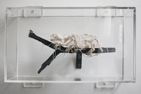 Caitlin McCormack - Intruder II