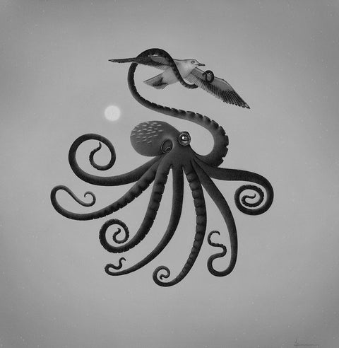 Juliet Schreckinger - Stolen Star Dance