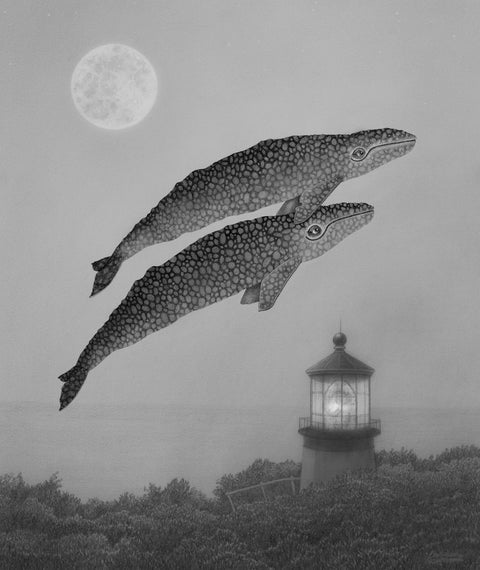 Juliet Schreckinger - Pepper and Salt the Gray Whales and Their Lighthouse
