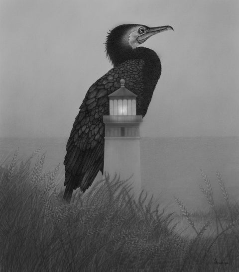 Juliet Schreckinger - Cal the Cormorant and His Lighthouse