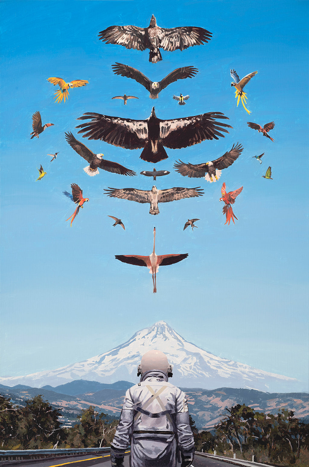 Scott Listfield - Ornithology