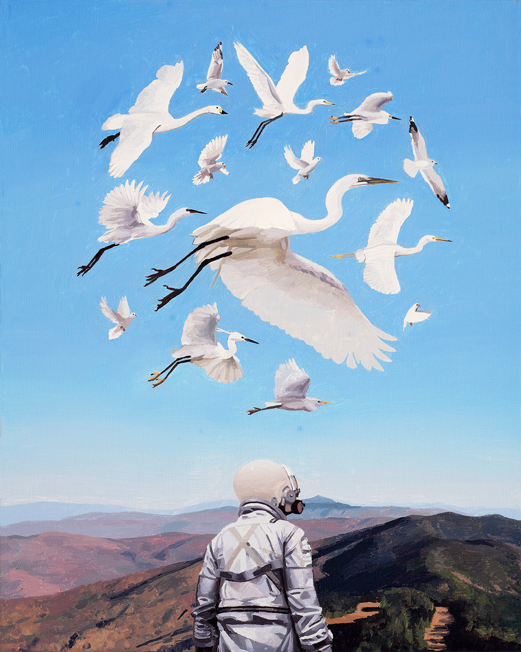 Scott Listfield - Continued Ornithology