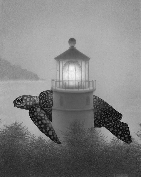 Juliet Schreckinger- Lou the Leatherback Sea Turtle and His Lighthouse