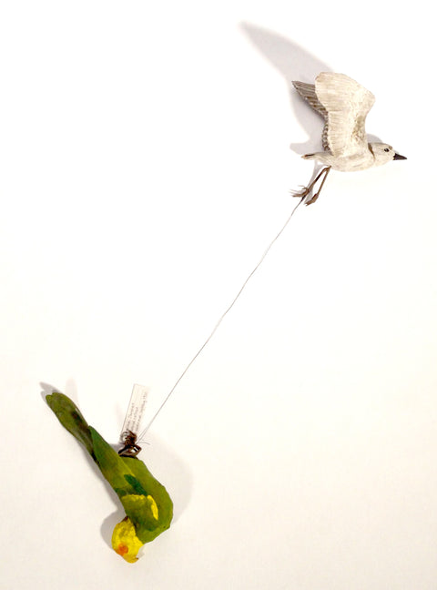 Sarah Conti - Western Snowy Plover, Extinct Carolina Parakeet