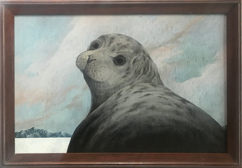 Amy Ruppel - Seal