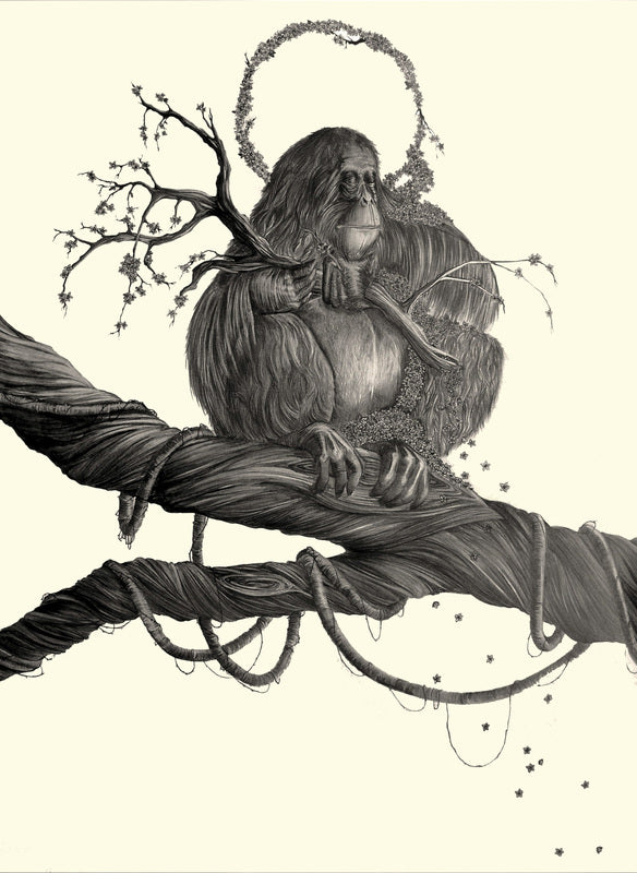 Susannah Kelly - Sumatran Orangutan