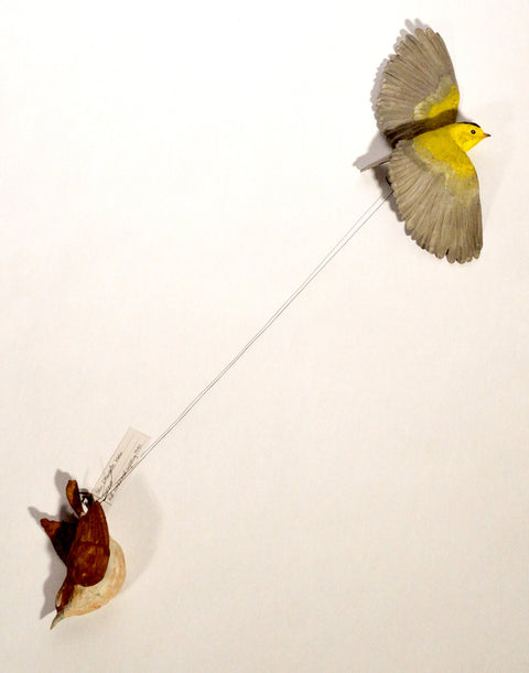 Sarah Conti - Wilson’s Warbler, Extinct San Clemente Wren