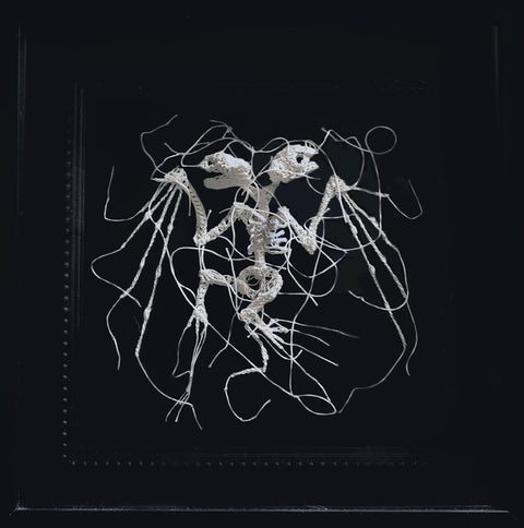 Caitlin McCormack - Dies Natalis