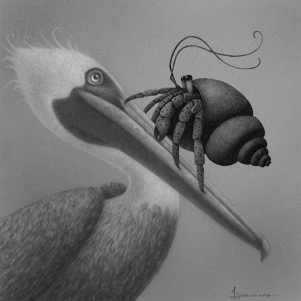 Juliet Schreckinger - Willy the Pelican and His Hermit Crab Friend