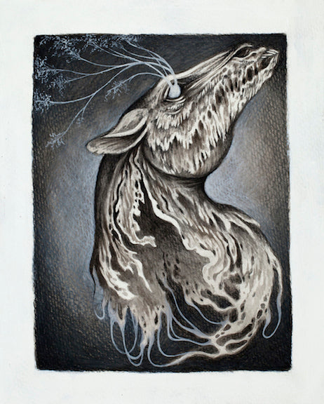 Caitlin Hackett - "Scatter my Bones"