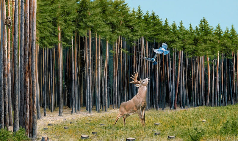Limited Edition Print- The Messengers by Josh Keyes
