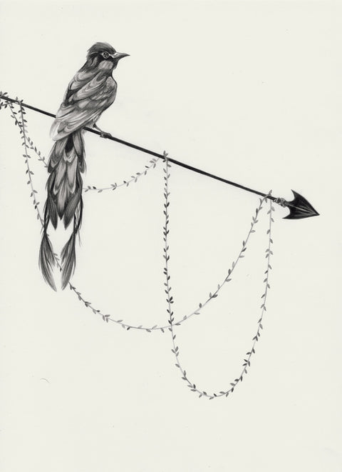 Susannah Kelly - Waiting
