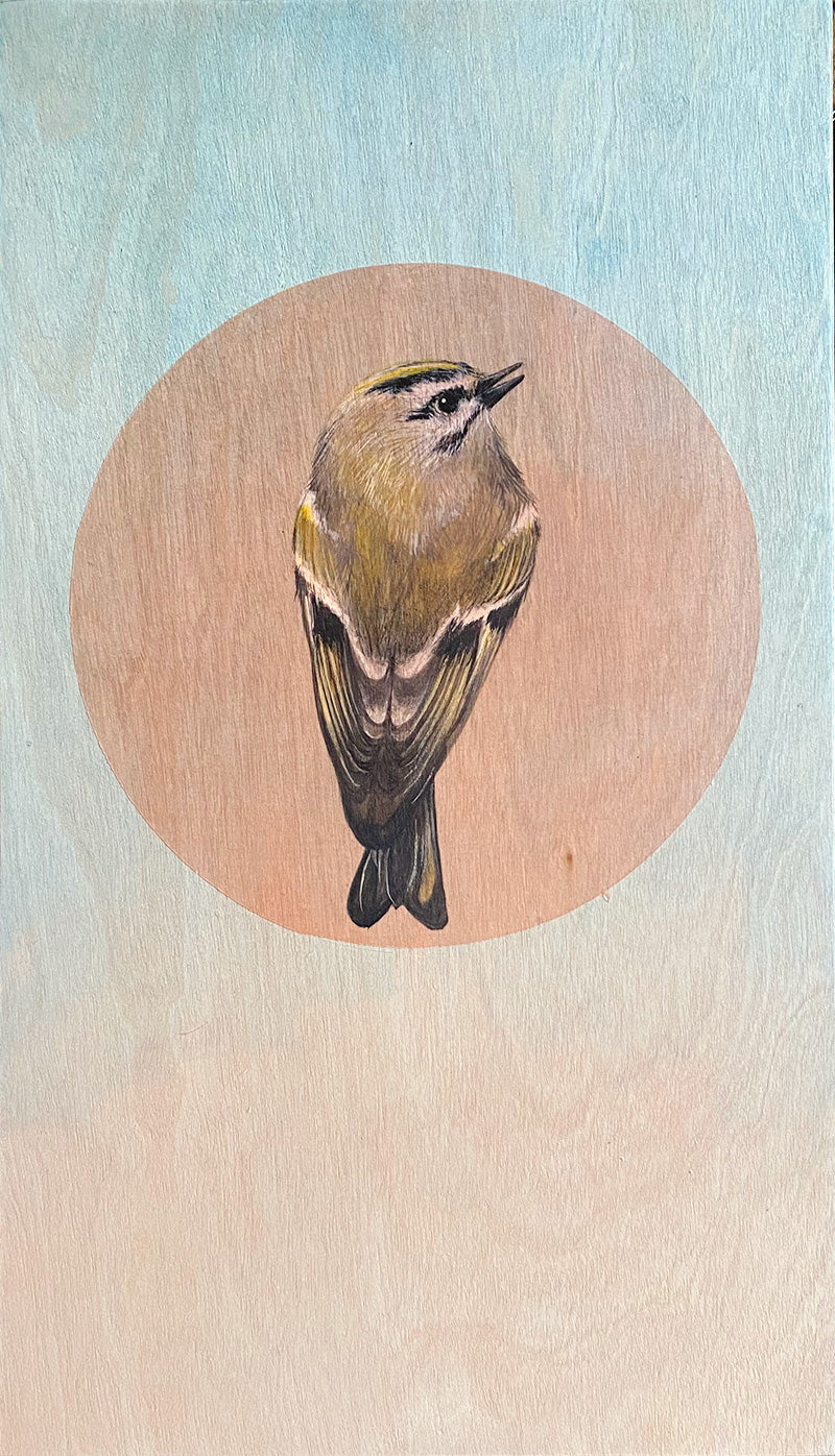 Amy Ruppel - Golden Crown Kinglet