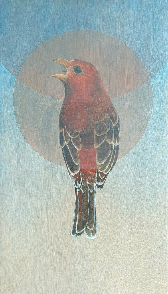 Amy Ruppel - Red-Headed House Finch