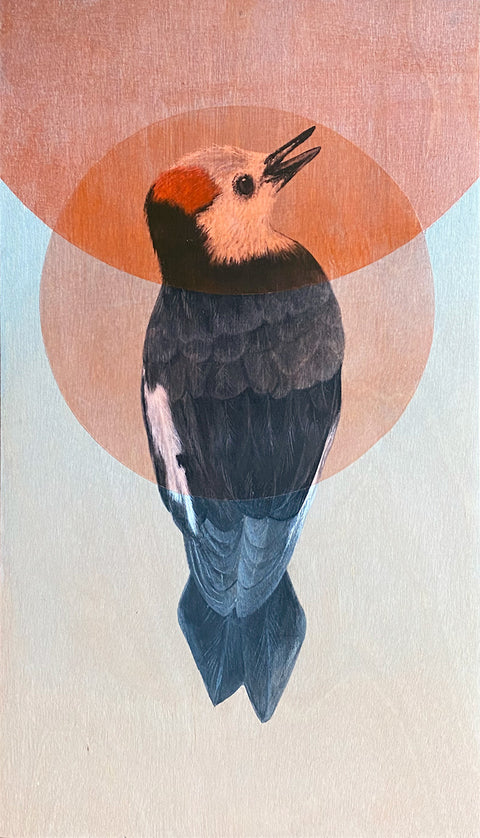 Amy Ruppel – Antler Gallery