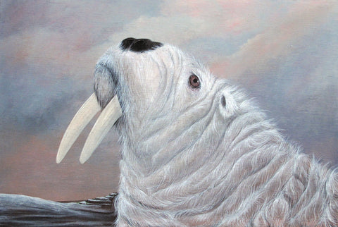 Amy Ruppel - "Polarus"