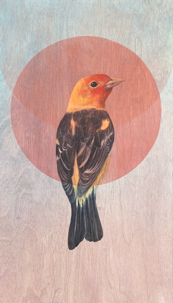 Amy Ruppel - Western Tanager