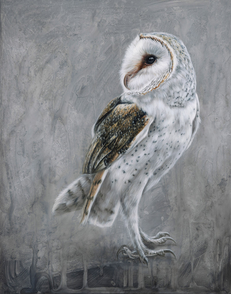 Alex Louisa - "Barn Owl"