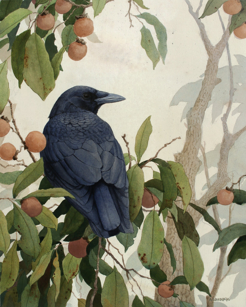 Alex Warnick - American Crow and Persimmon