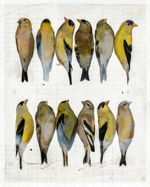 Shae Warnick - American Goldfinches