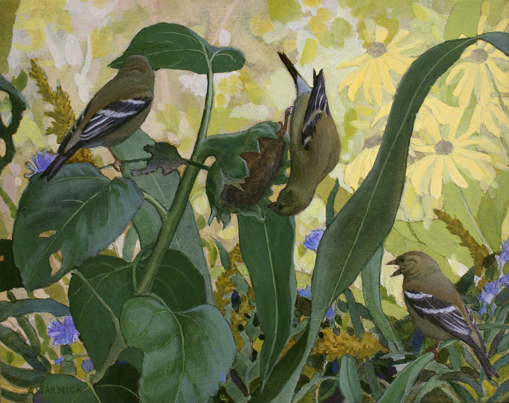 Alex Warnick - American Goldfinches and Sunflower