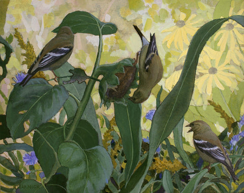 Alex Warnick - American Goldfinches and Sunflower