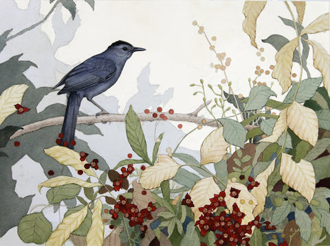 Alex Warnick - “Autumn Gray Catbird”
