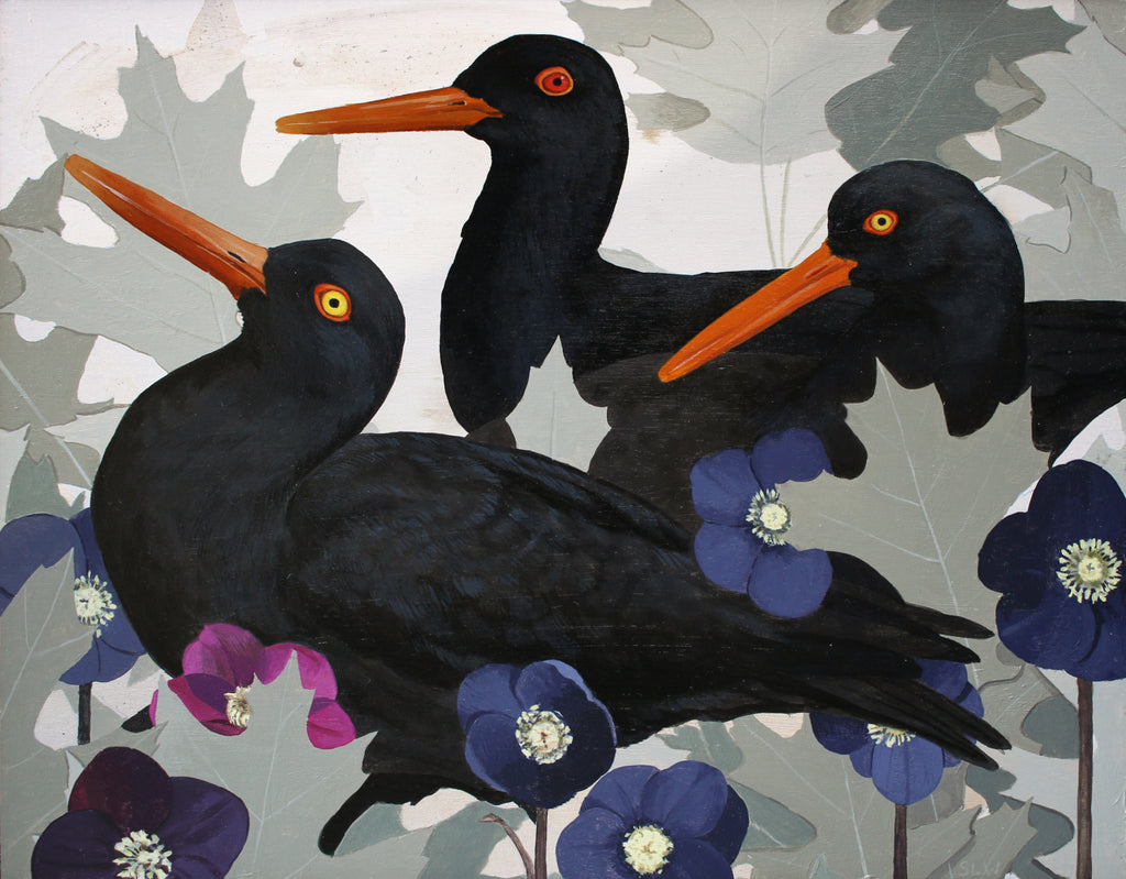 Shae Warnick - Black Oystercatcher and Hellebore