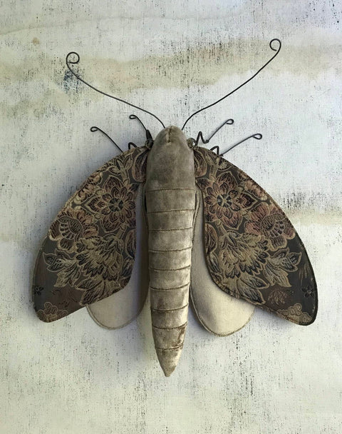 Larysa Bernhardt - Moth I