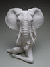 Crystal Morey - African Bush Elephant