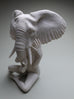 Crystal Morey - African Bush Elephant