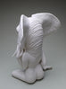 Crystal Morey - African Bush Elephant