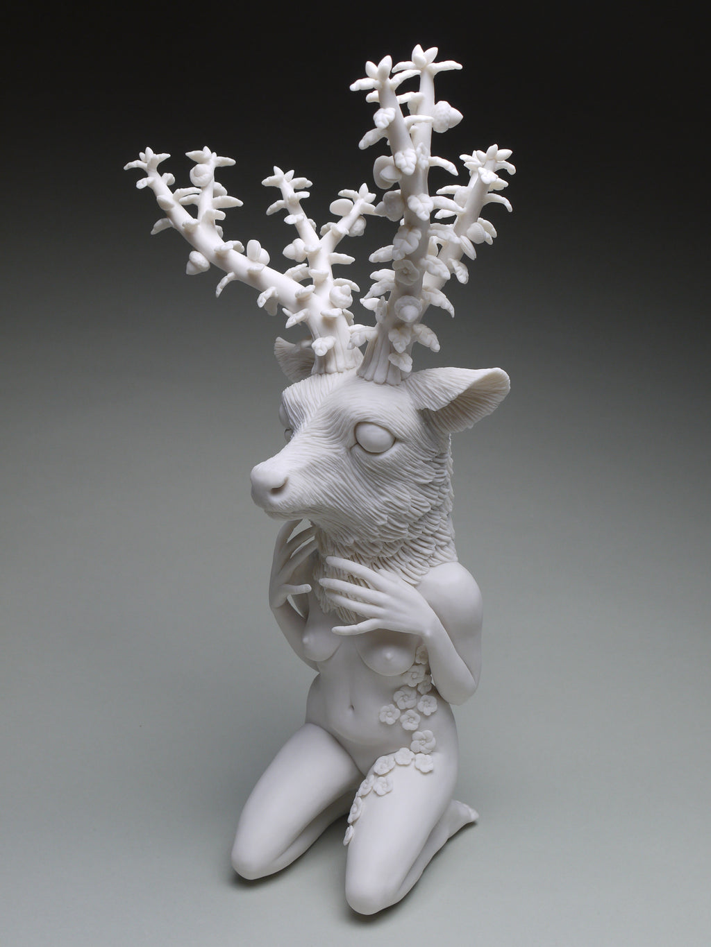 Crystal Morey - Lush Anthesis: Mule Deer