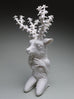 Crystal Morey - Lush Anthesis: Mule Deer