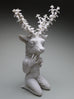 Crystal Morey - Lush Anthesis: Mule Deer