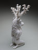 Crystal Morey - Lush Anthesis: Mule Deer