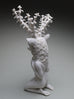 Crystal Morey - Lush Anthesis: Mule Deer