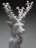 Crystal Morey - Lush Anthesis: Mule Deer