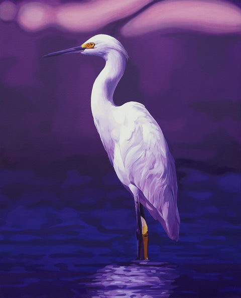 David Rice - Egret