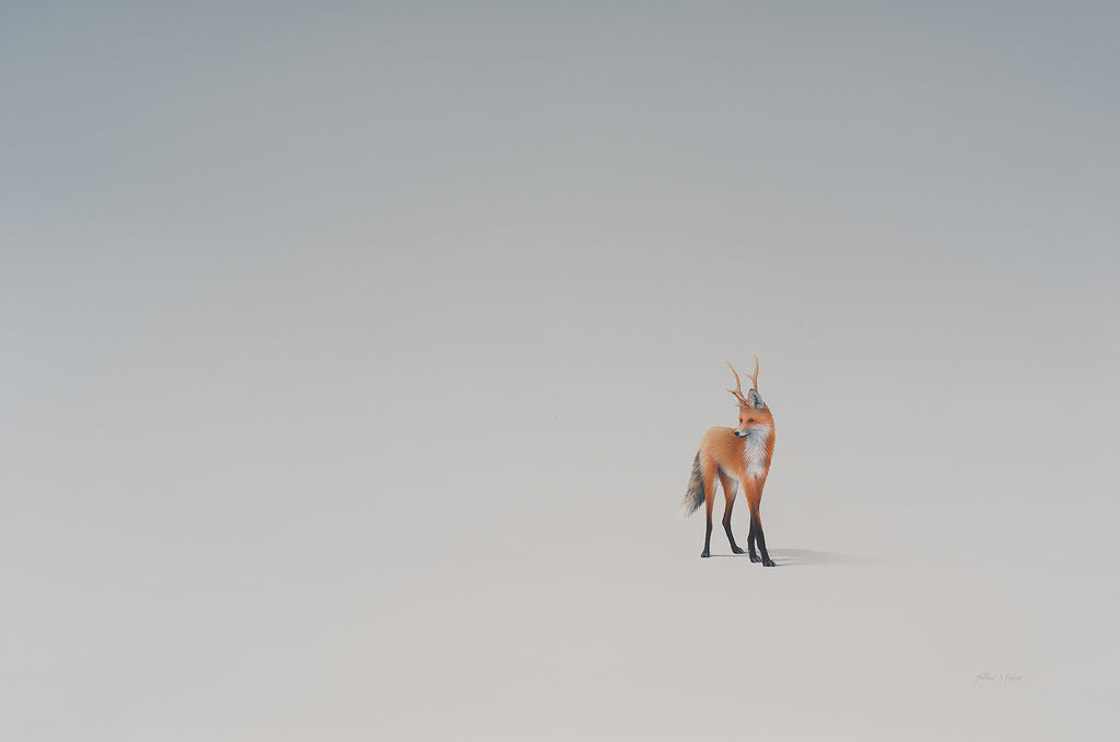Matthew Rucker - Eurasian Deer Fox