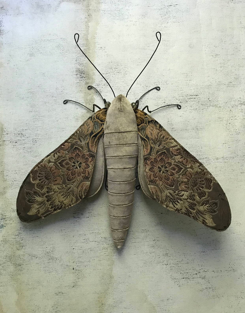 Larysa Bernhardt - Moth II