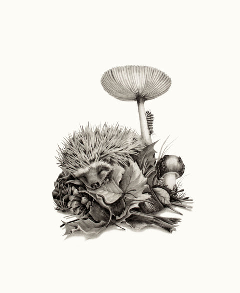 Katy Harrald - ‘Hedgehog in Autumn’