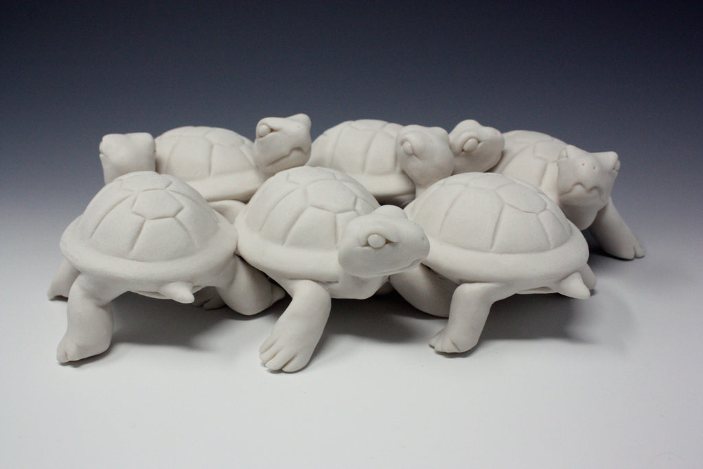 Bethany Krull - Turtle Cluster