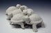 Bethany Krull - Turtle Cluster