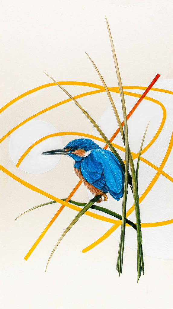 Thomas Jackson - ‘Kingfisher’ - Avon River, England